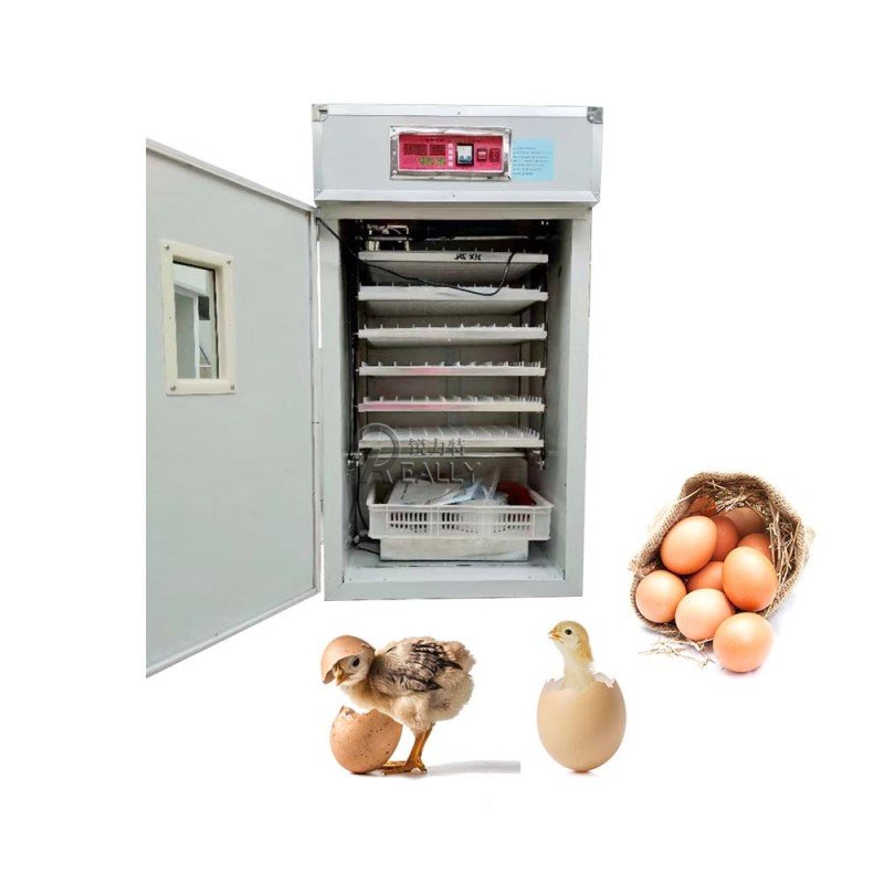 Egg Incubator Manufacturer - Dual Power Automatic