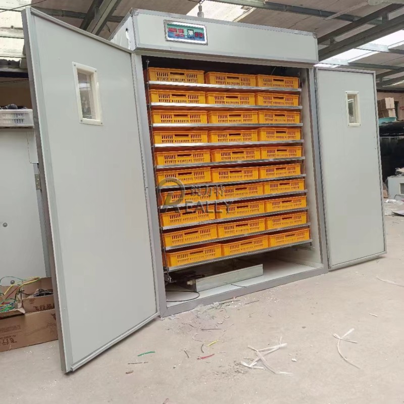 Egg Incubator Manufacturer - Dual Power Automatic