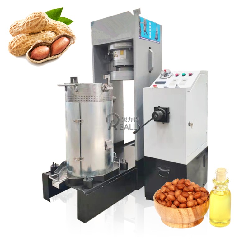Industrial Juicer Manufacturer - High Capacity Extractor