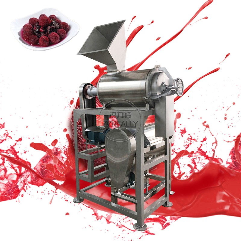 Screw Juicer Factory - 304 Stainless Steel Crusher