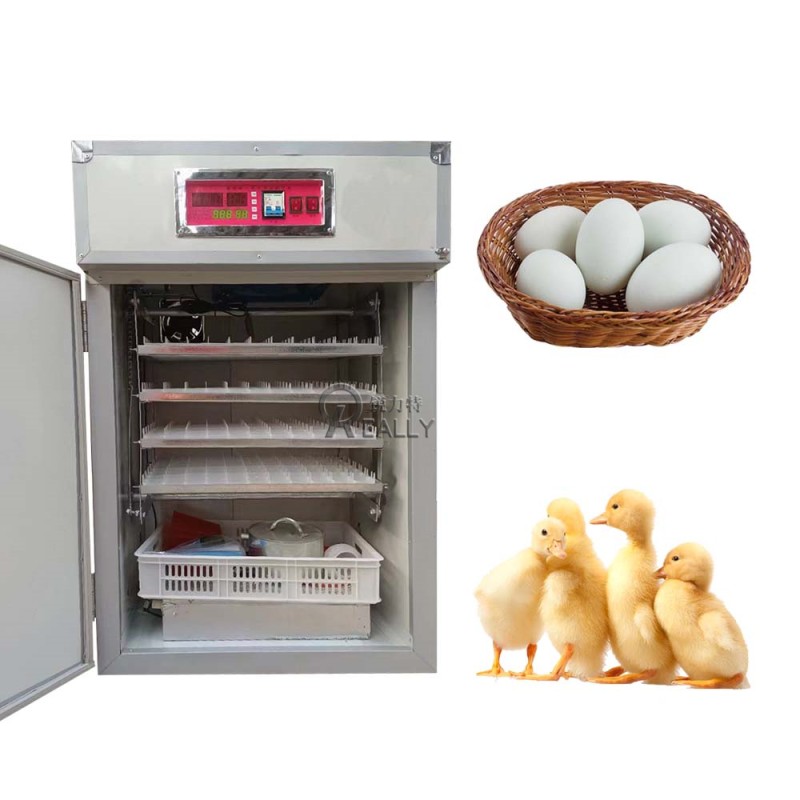 Egg Incubator Manufacturer - Dual Power Automatic