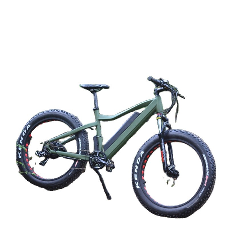 Ebike Factory - Cheap Price Mountain Snow Ebike