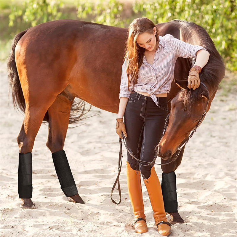 Horse Boots Manufacturer - Anti-Collision Legging Boots