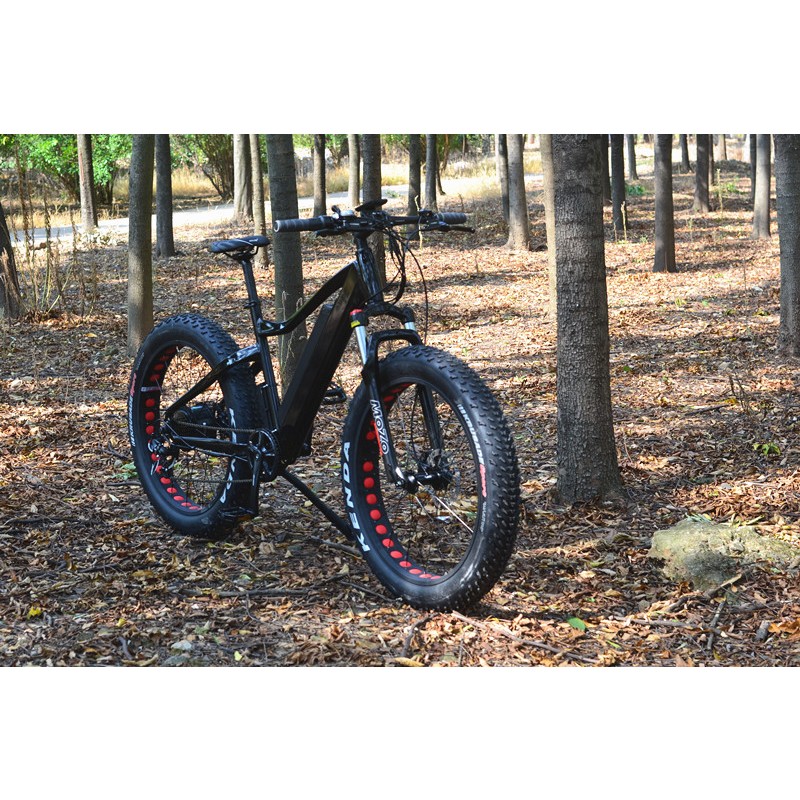 Electric Bike Manufacturer - 48V 1000W MTB Fat Tire