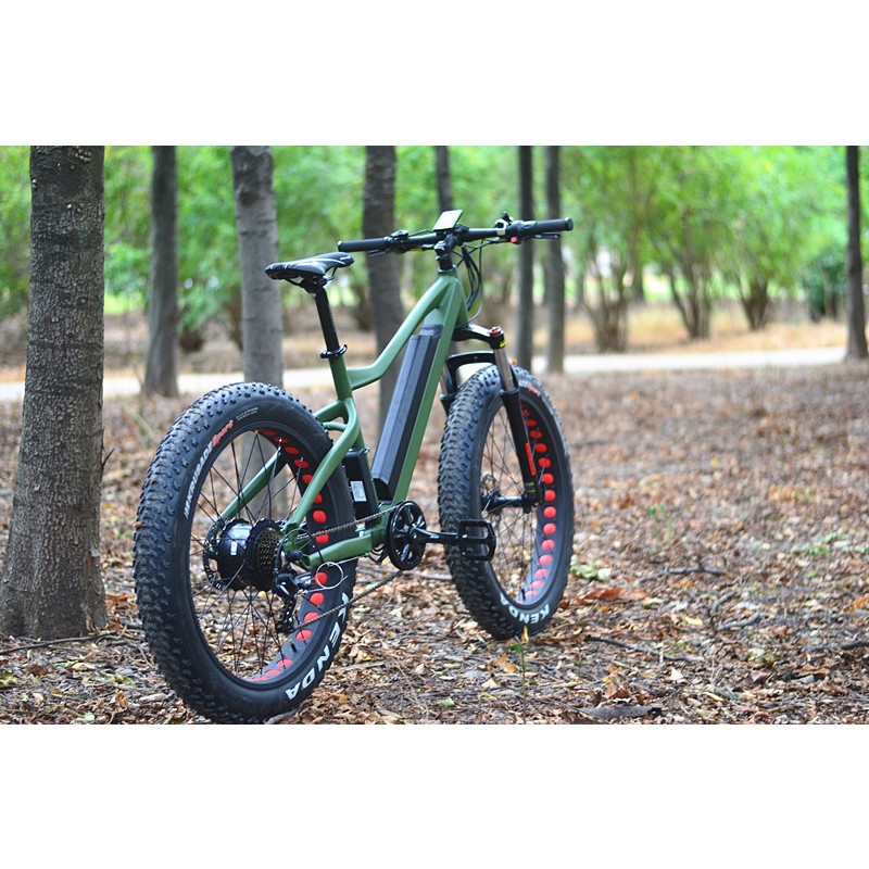 Electric Bike Manufacturer - 48V 1000W MTB Fat Tire