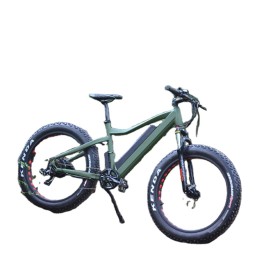 Ebike Manufacturer - 1500W Fat Mountain Electric Bike