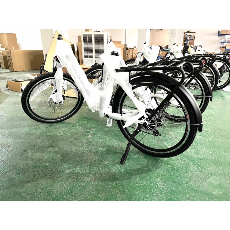 Ebike Factory - Carbon Fiber Full Suspension Frame