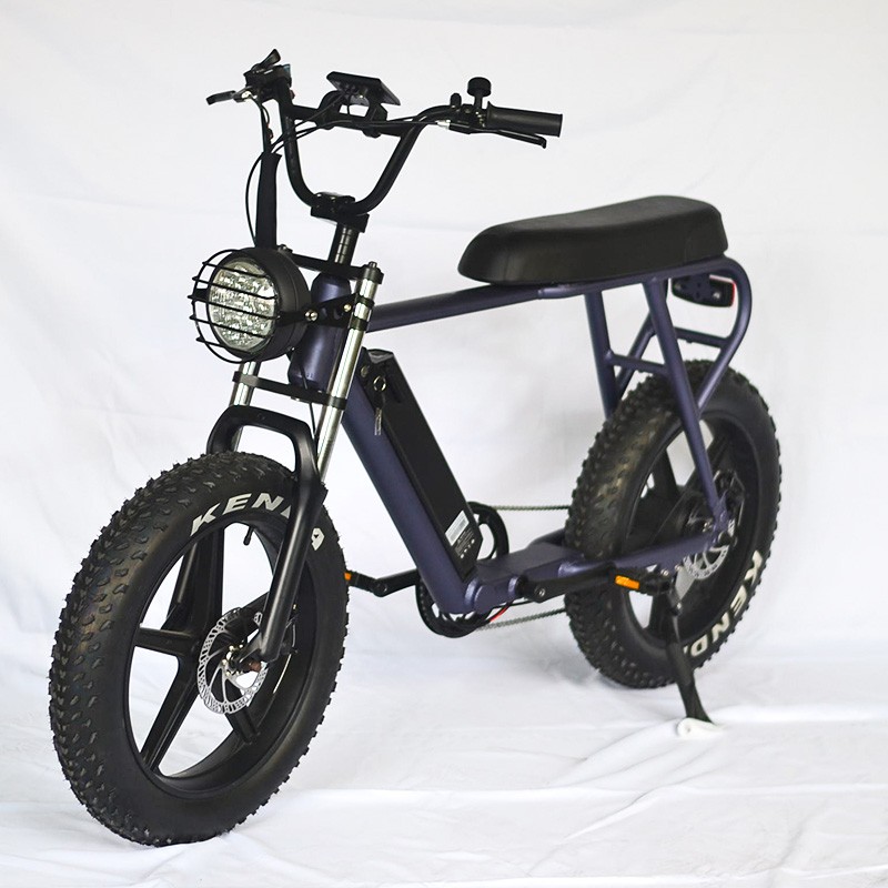 Electric Bike Manufacturer - Big Flat Seat Ebike