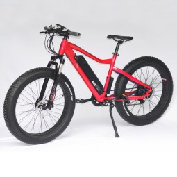 Electric Mountain Bike Factory - 26 Inch 750W Fat Tire