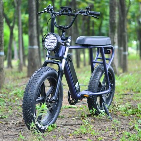 Electric Bike Manufacturer - 48V 500W Flat Seat Ebike