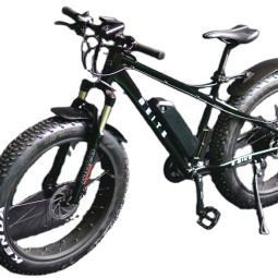 Ebike Factory - Fat Snow Bike Hydraulic Brake