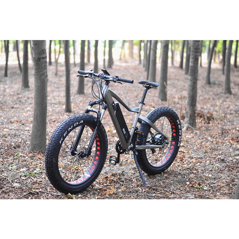 Electric Bike Manufacturer - 48V 1000W MTB Fat Tire