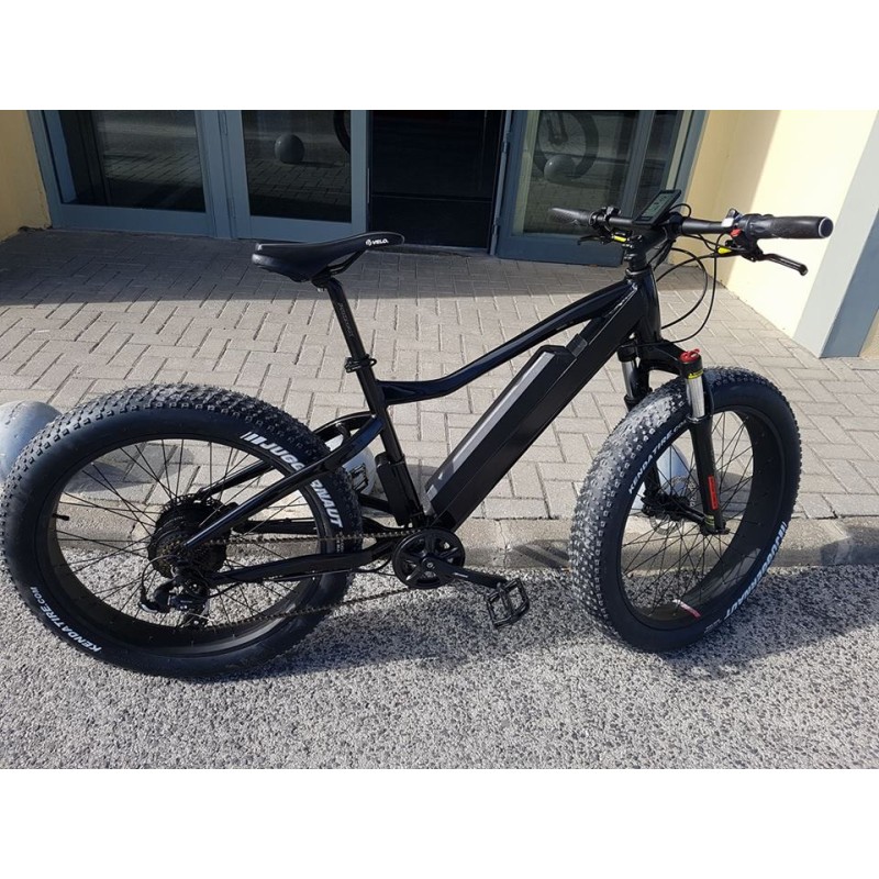 Electric Bike Manufacturer - 48V 1000W MTB Fat Tire