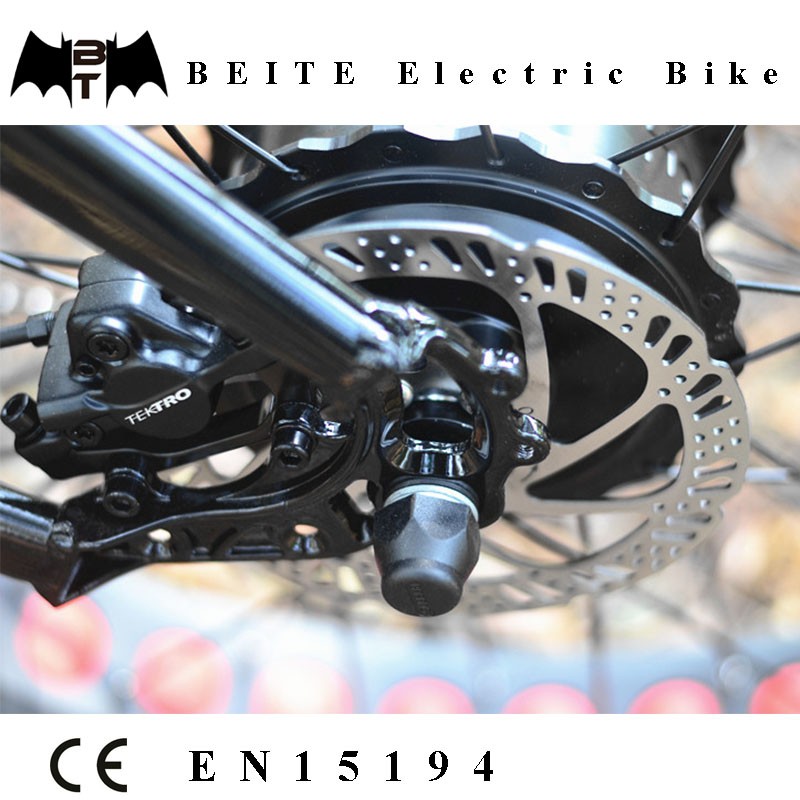 Electric Bike Manufacturer - CE LCD Rear Hub Motor