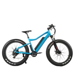 Electric Bike Factory - New 48V 750W Ebike