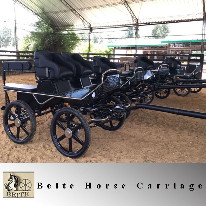 Horse Carriage Manufacturer - Professional Marathon BTH-01