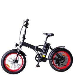Electric Bike Factory - 36V 20" Folding Fat Tire