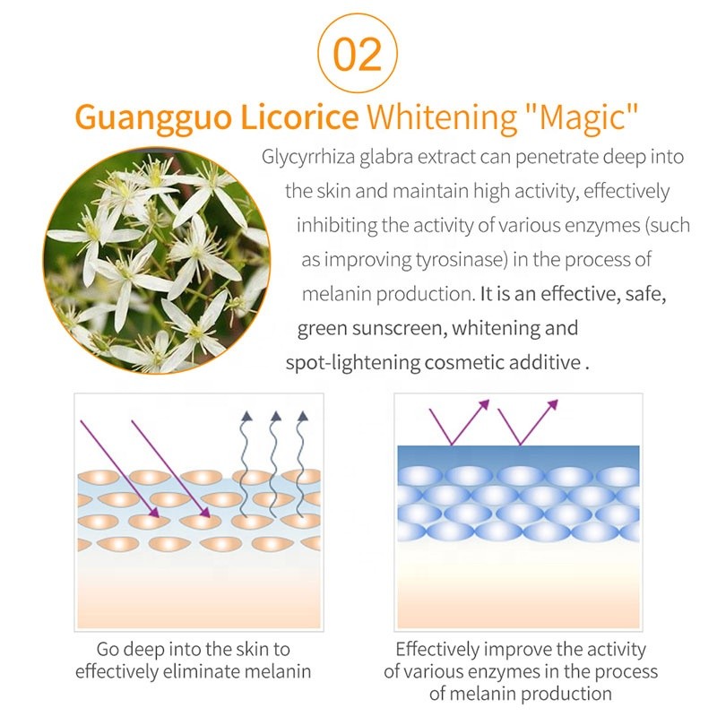 Hot  Selling Face Whitening Anti Wrinkle Visage Box Skin Care Serum for Face