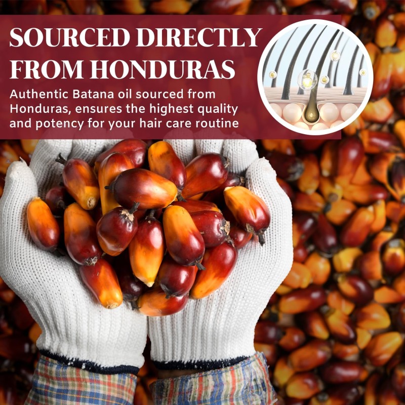 Private Label High Quality Hair Growth Oil Butter Anti Hair Loss 120g 100% Pure Batana Oil for Hair Growth