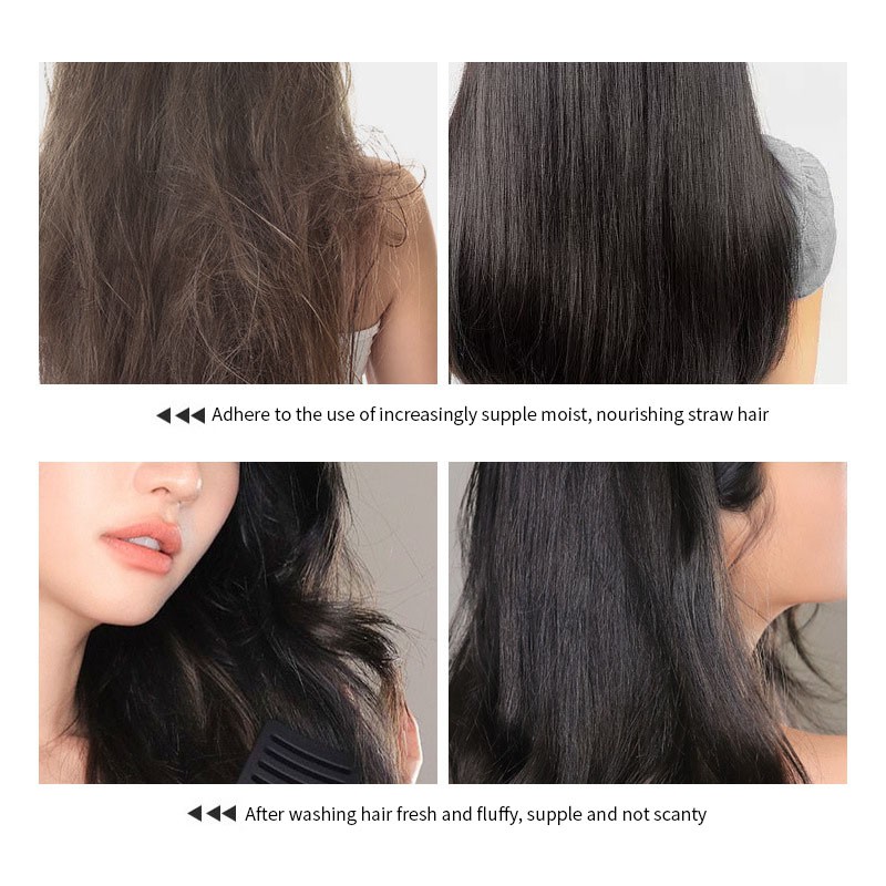 Hot Selling 300ml Ginger Essence Anti Hair Loss Shampoo for Women Hair Care