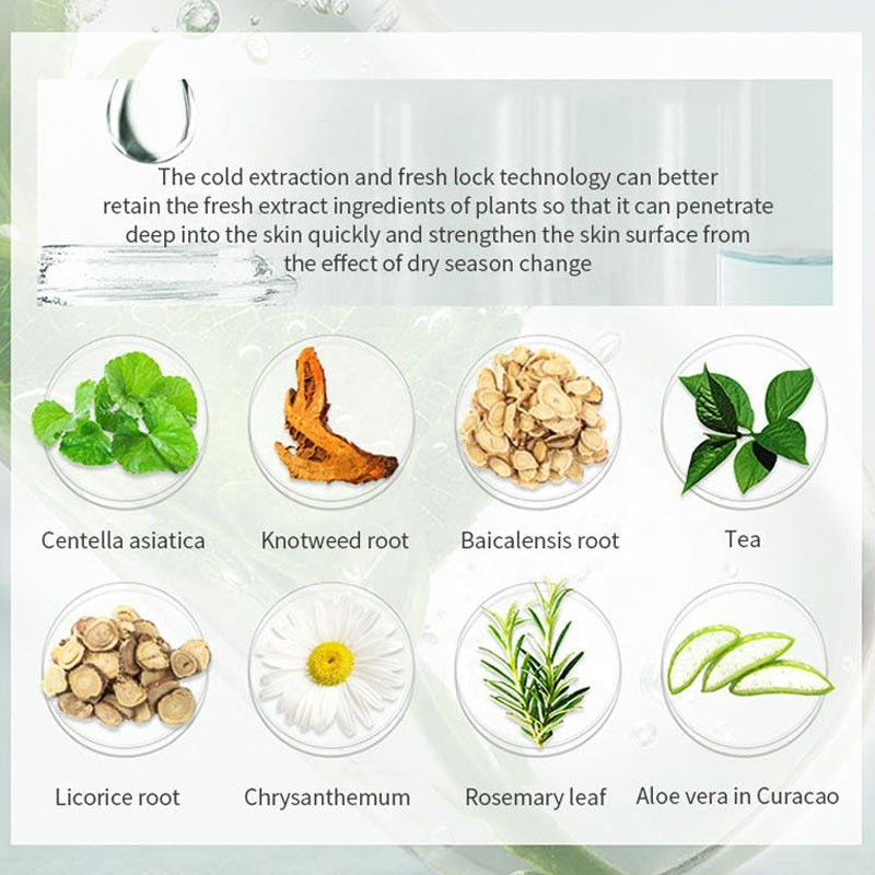 Hot Sale Nourishing Anti-Aging Organic Sea Grape Skin Care Set for Ladies