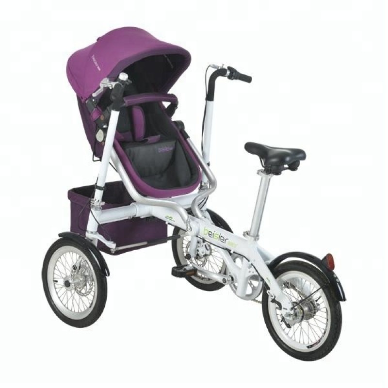 Parent-Child Tricycle Supplier - OEM Custom 20-Inch Bicycle