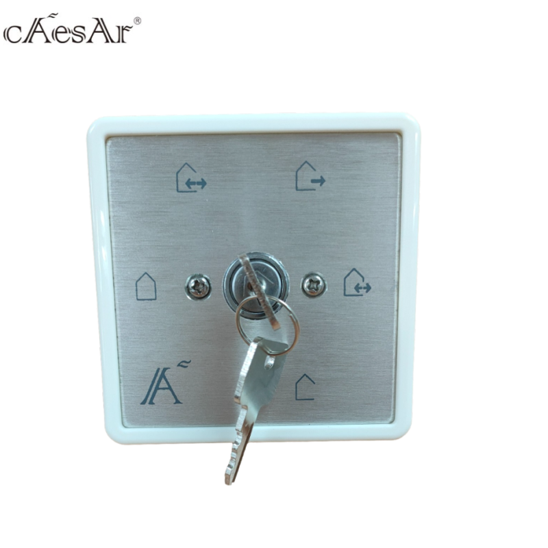 Automatic Door Manufacturer - Caesar Electric Door Release Lock