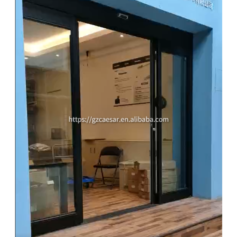 Sliding Door System Factory - Black Framed Glass Sliding Door