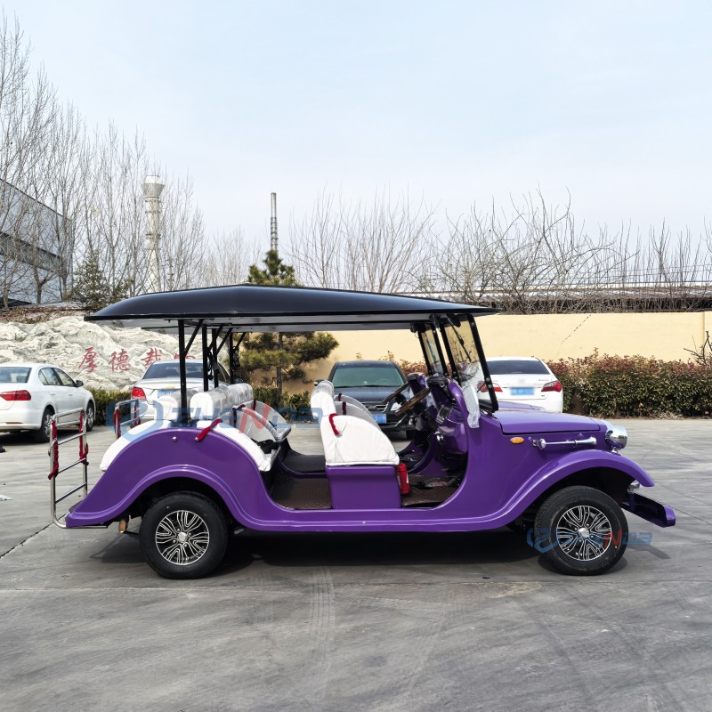 Electric Golf Cart Factory - Hot Selling 8 Seater Custom Low Prices