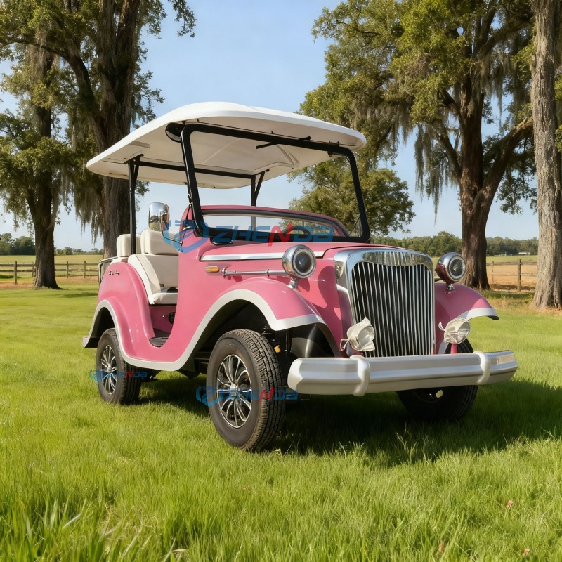 Antique Car Manufacturer - Electric Four-wheel 11 Seat Retro Scenic
