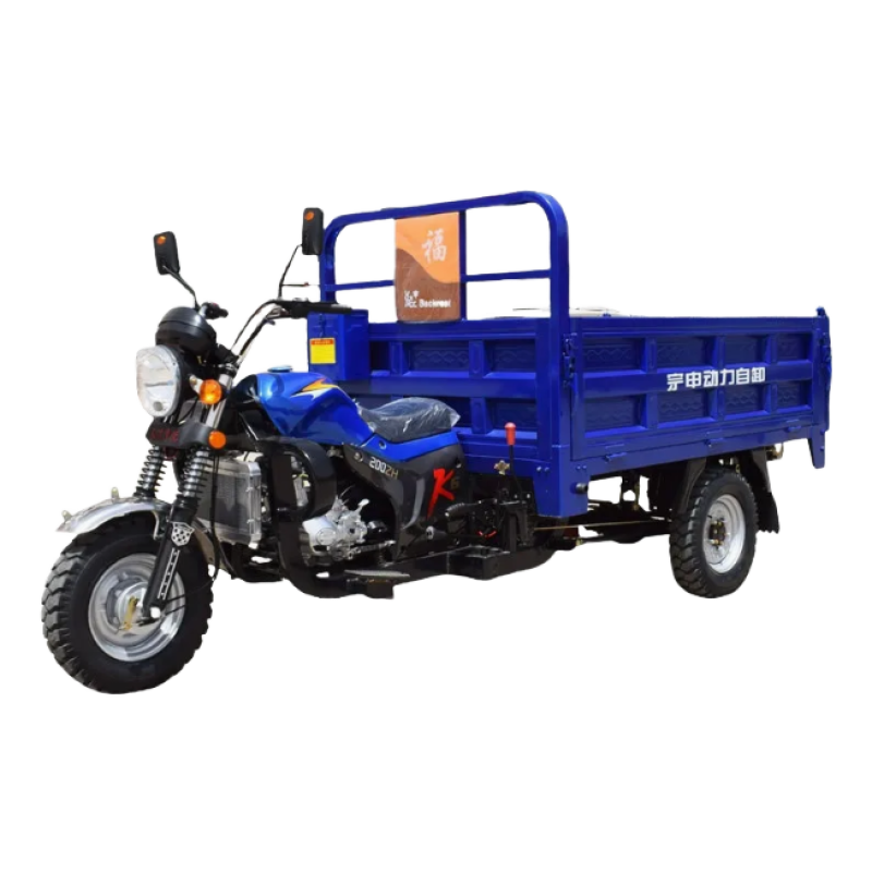 Tricycle Manufacturer - 250cc Passenger Cargo Gasoline Fuel