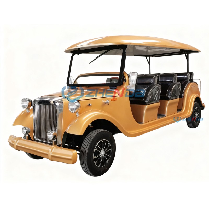 Sightseeing Vehicle Manufacturer - Factory Price Antique New Energy Outdoor