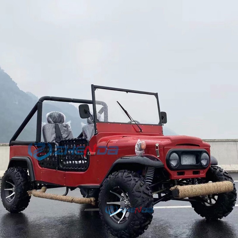 Electric Jeep Manufacturer - Off Road Mini Model 300cc Adult