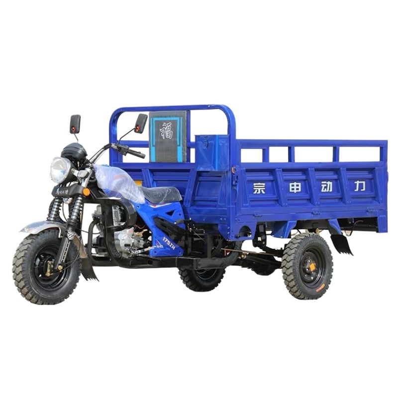 Tricycle Manufacturer - 250cc Passenger Cargo Gasoline Fuel