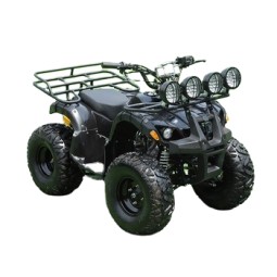 ATV Bike Manufacturer - 125CC Automatic Chain Drive Transmission