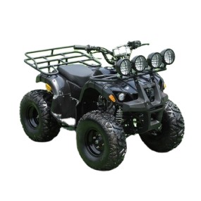 ATV Bike Manufacturer - 125CC Automatic Chain Drive Transmission