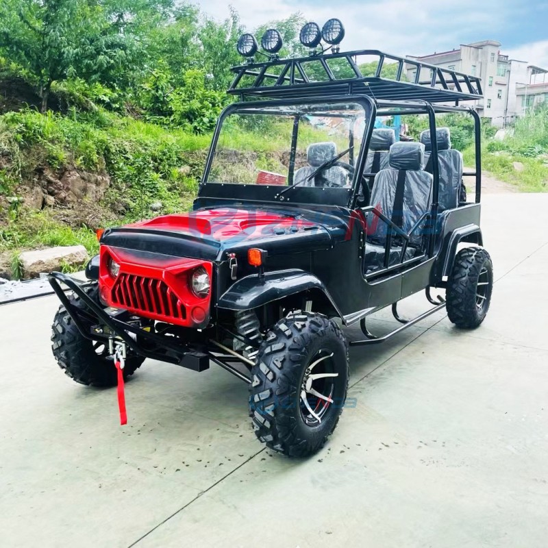 Dune Buggy Factory - Electric 4x4 Multi-purpose Gasoline Cars