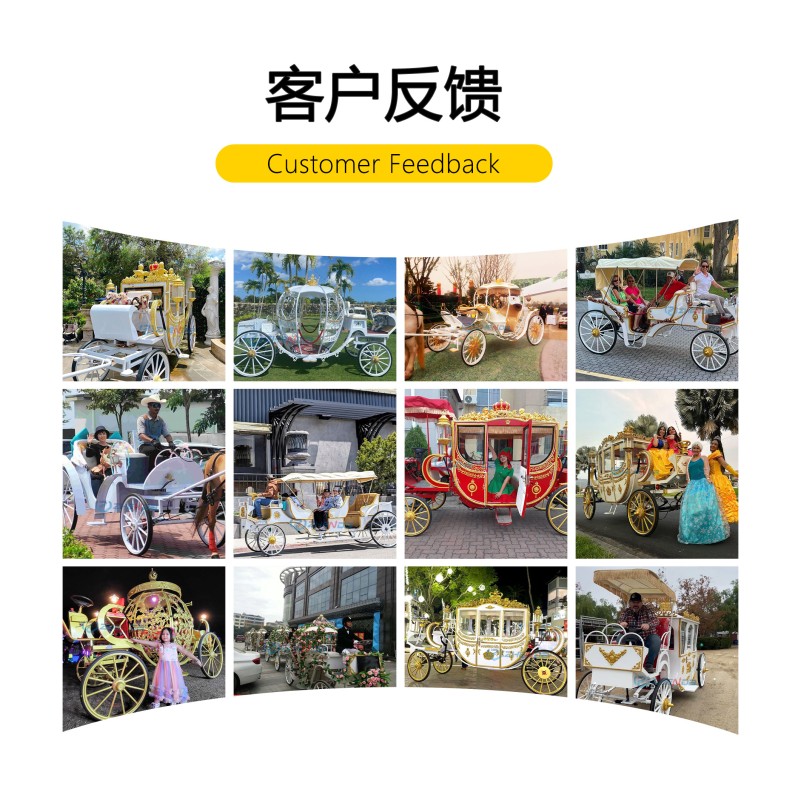 Sightseeing Carriage Factory - Black Convertible Electric Wedding Carriage