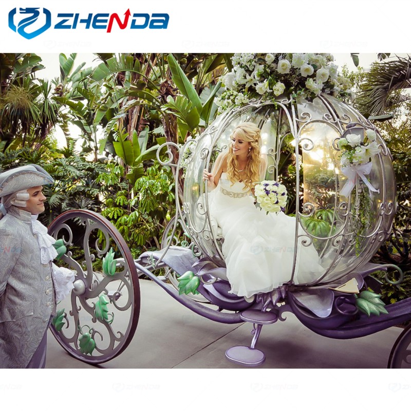 Funeral Vehicle Manufacturer - New Funeral Special Horse Hearse