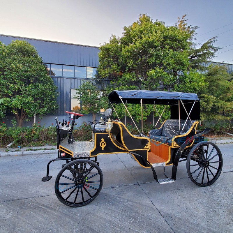 Electric Carriage Factory - Black 6 Seats CE Certified Stage Coach