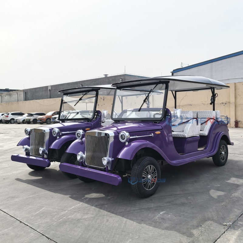 Electric Golf Cart Factory - Hot Selling 8 Seater Custom Low Prices