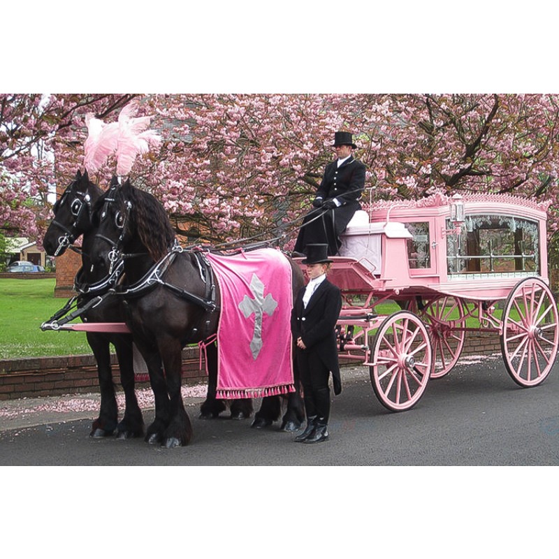 Horse Hearse Factory - 2023 Unique Custom Modern Funeral Supplies