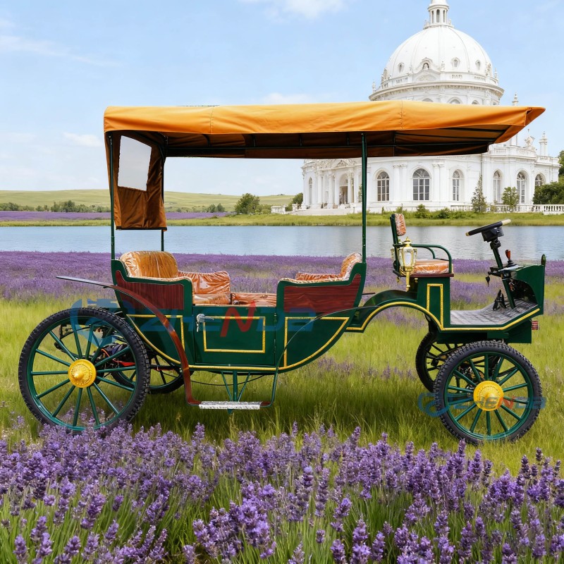 Sightseeing Carriage Manufacturer - Green Convertible Electric Vehicle