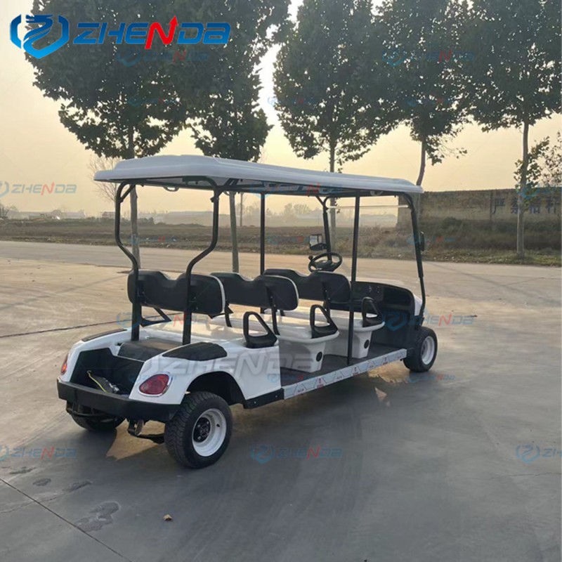 Golf Cart Factory - Customized Fashion Scenic Hotel Reception