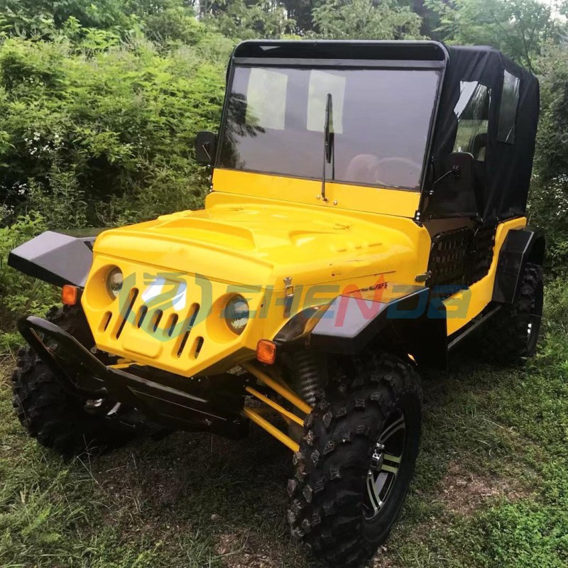 Off Road Vehicle Factory - Hot Selling 4WD Beach Buggy Go Kart
