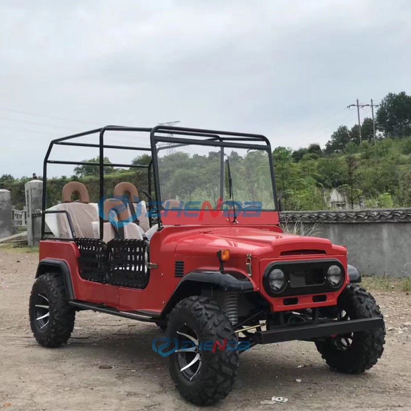 Dune Buggy Factory - Electric 4x4 Multi-purpose Gasoline Cars