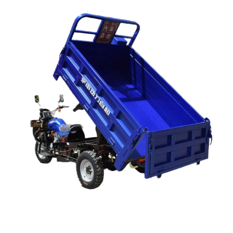 Tricycle Manufacturer - 250cc Passenger Cargo Gasoline Fuel