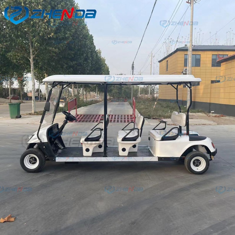 Golf Cart Factory - Customized Fashion Scenic Hotel Reception