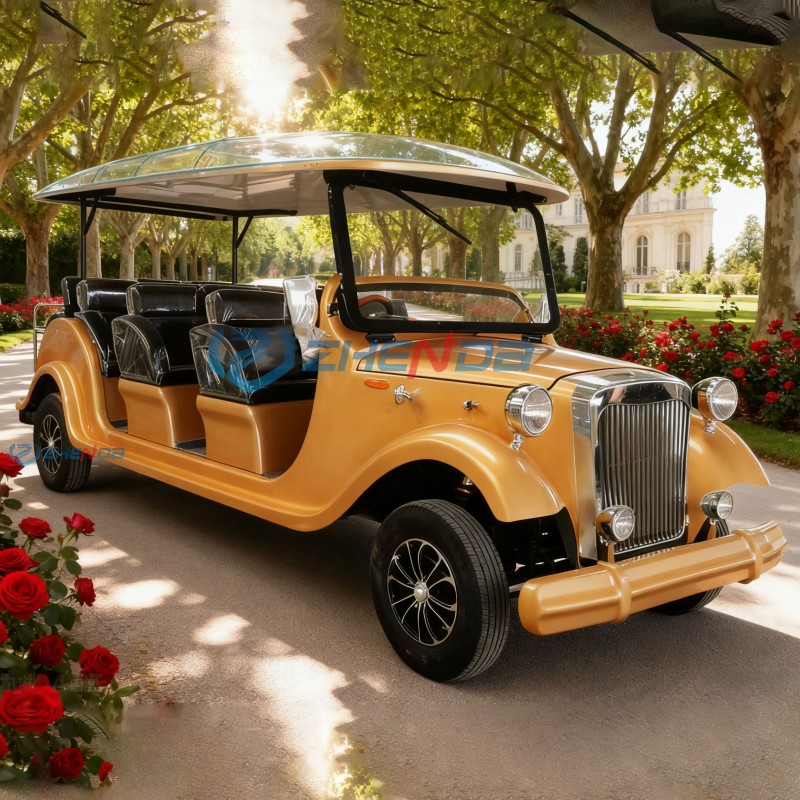 Sightseeing Vehicle Manufacturer - Factory Price Antique New Energy Outdoor