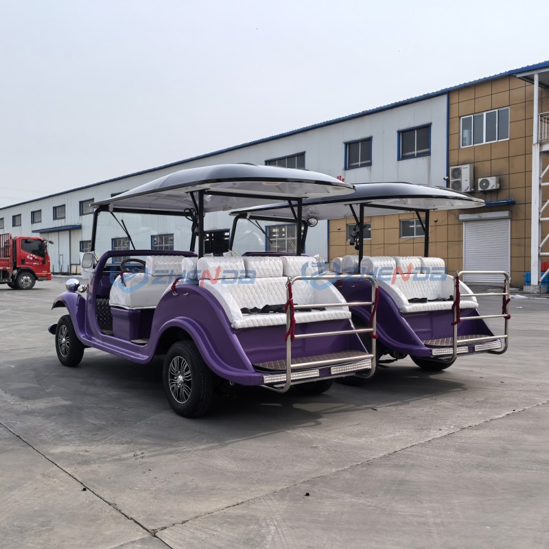 Electric Golf Cart Factory - Hot Selling 8 Seater Custom Low Prices